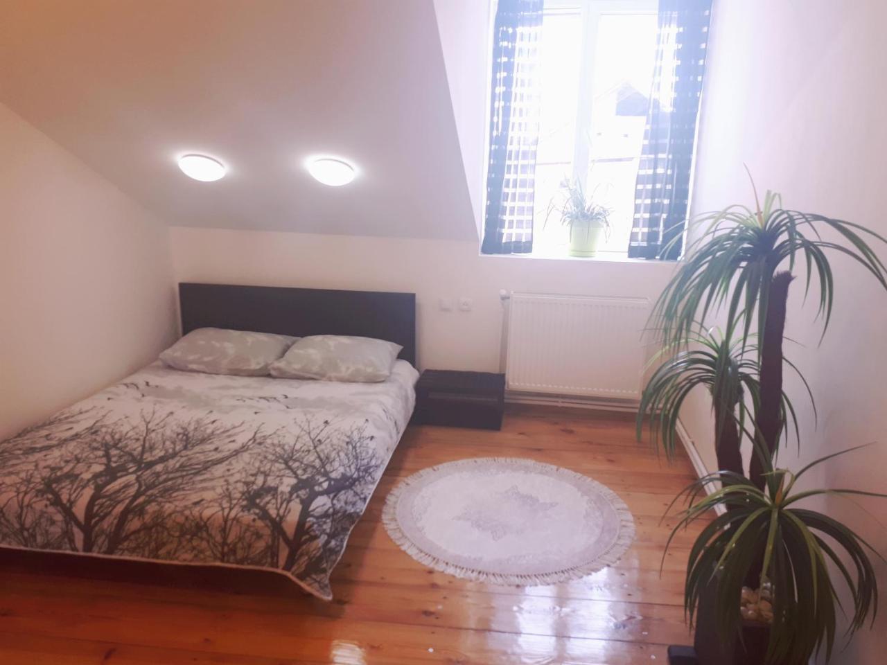 Karin House Daire Tiflis Dış mekan fotoğraf
